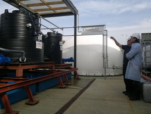 Anaerobic Digestion