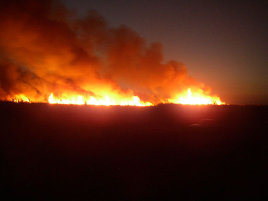 Sugar Cane Burning Factory, Uganda